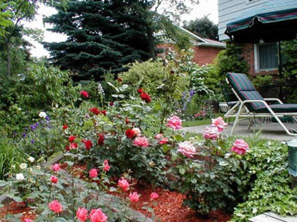ナイアガラ・フォールズ Dorchester House Bed & Breakfast エクステリア 写真